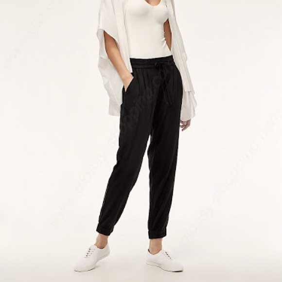 Aritzia Pants - Aritzia Azure Skies Los Felix Pants in Black
